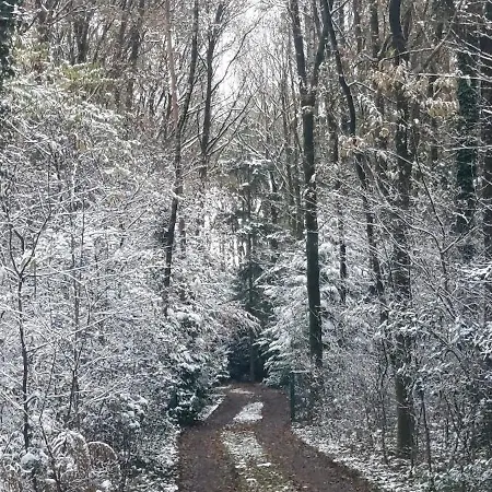 Horská chata 't Boshuisje *